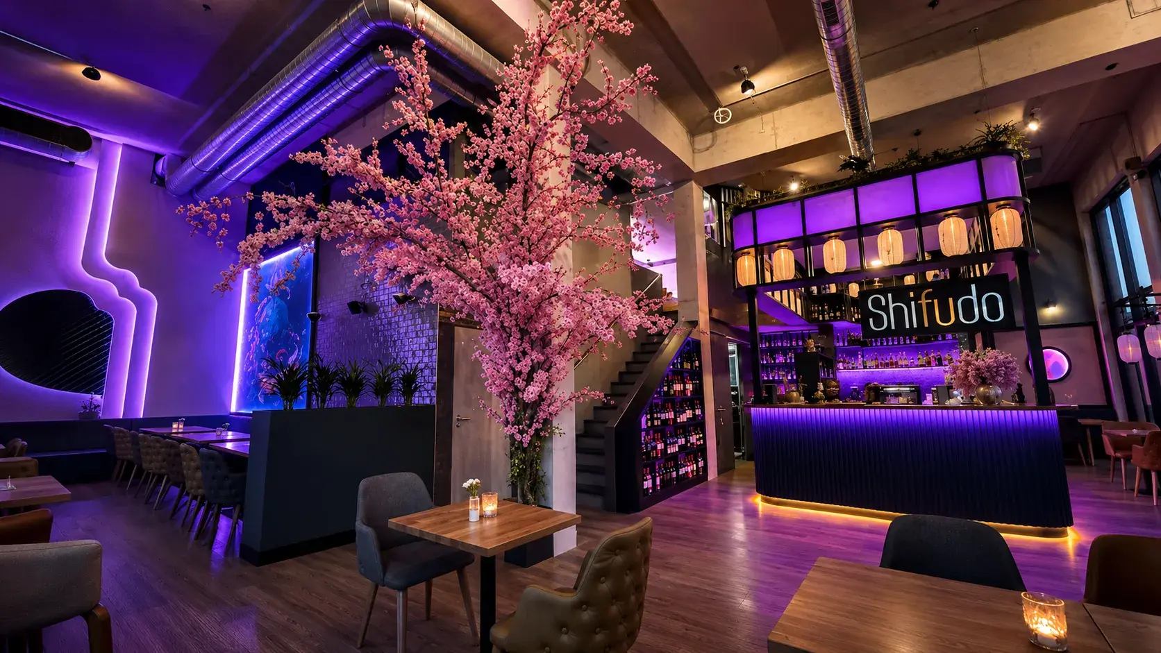 Innenraum des Shifudo Hamburg mit Kirschblüten-Baum, Bar und violetter Beleuchtung
